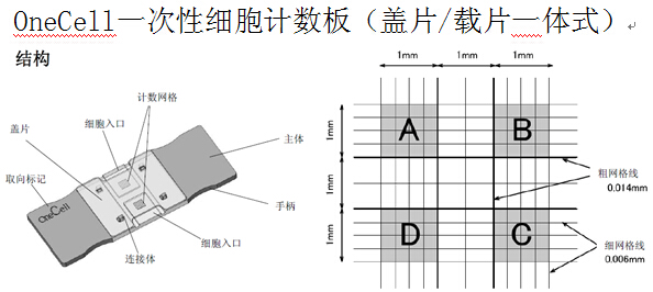 onecell一次性细胞计数板(盖片/载片一体式)